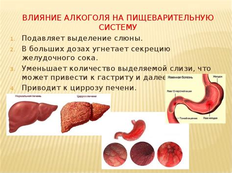 Системный эффект на пищеварительную систему