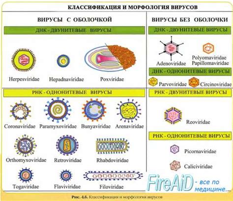 Ситуация с вариантами вируса и мерами противодействия