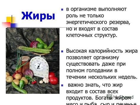 Скорость снижения жира при голодании