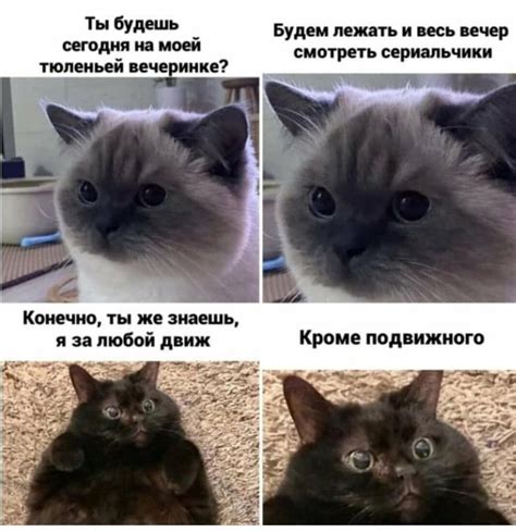 Смешные и трогательные стихи и песни