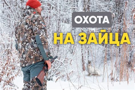 Снаряжение для охоты на зайца