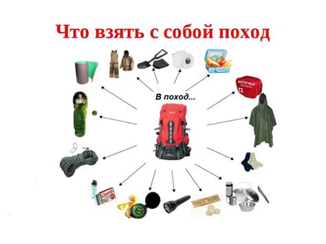 Снаряжение и припасы: что брать с собой в поход на лошадях и как грамотно распределить груз