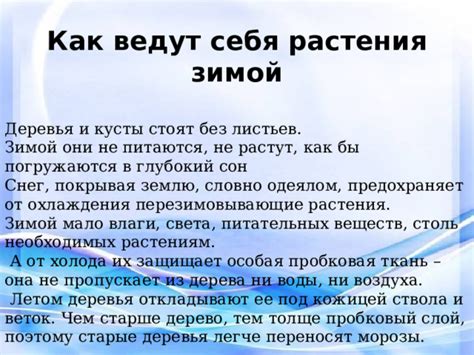 Снег как источник питательных веществ