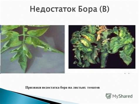 Снижение недостатка бора: