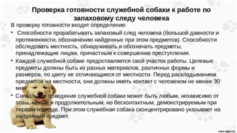 Собаки и способности обнаруживать запахи