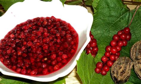 Собирать ягоды лимонника в Подмосковье осенью