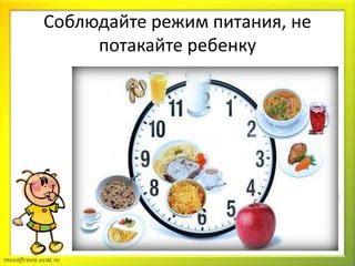 Соблюдайте режим питания