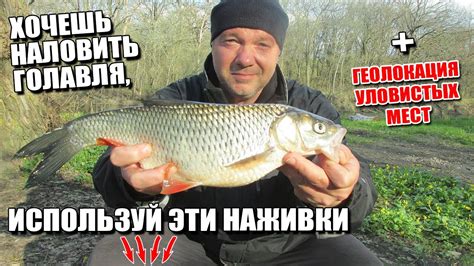 Советы и рекомендации для успешного лова