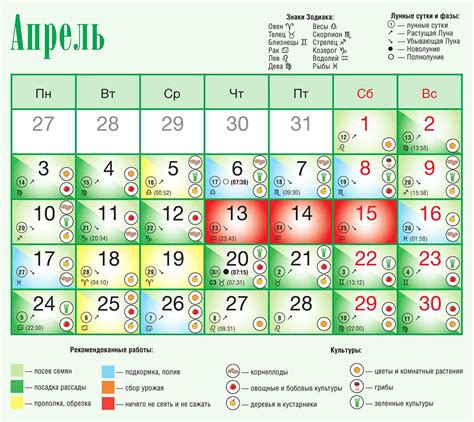 Советы и рекомендации по времени посадки