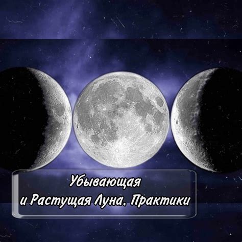 Советы и рекомендации по посадке чеснока на убывающую луну