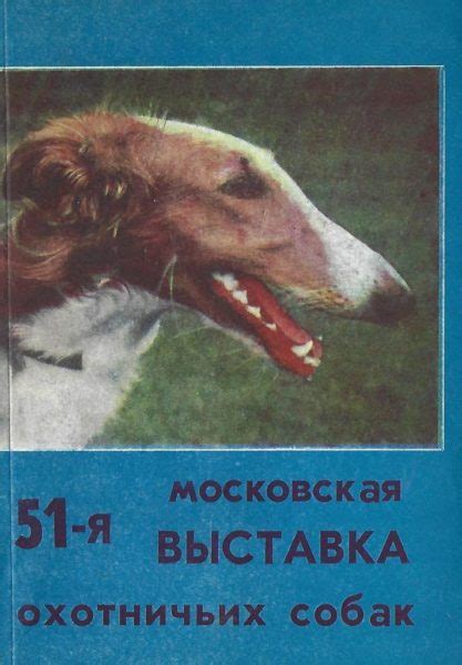 Советы по выбору платной породы