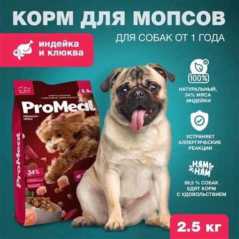 Советы по кормлению мопсов сырым мясом