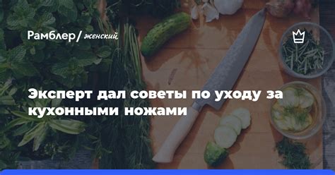 Советы по правильному сбору и хранению