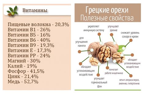Советы по правильному употреблению грецких орехов для лучшего усвоения питательных веществ