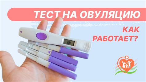 Советы по проведению теста на овуляцию