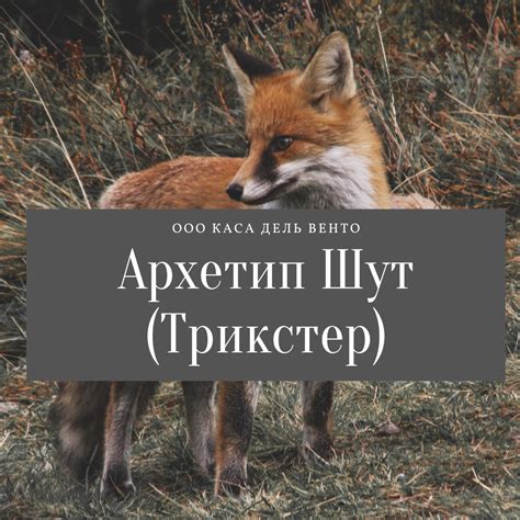 Советы по противодействию трикстеру