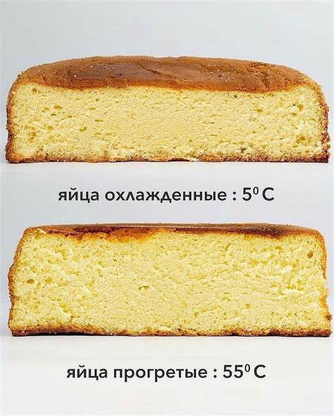 Советы по хранению бисквита