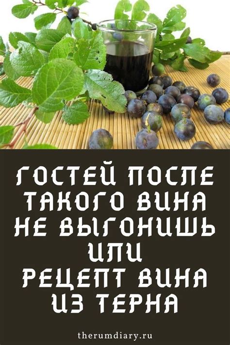 Советы по хранению и подаче вина из терна