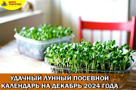 Советы садоводам:
