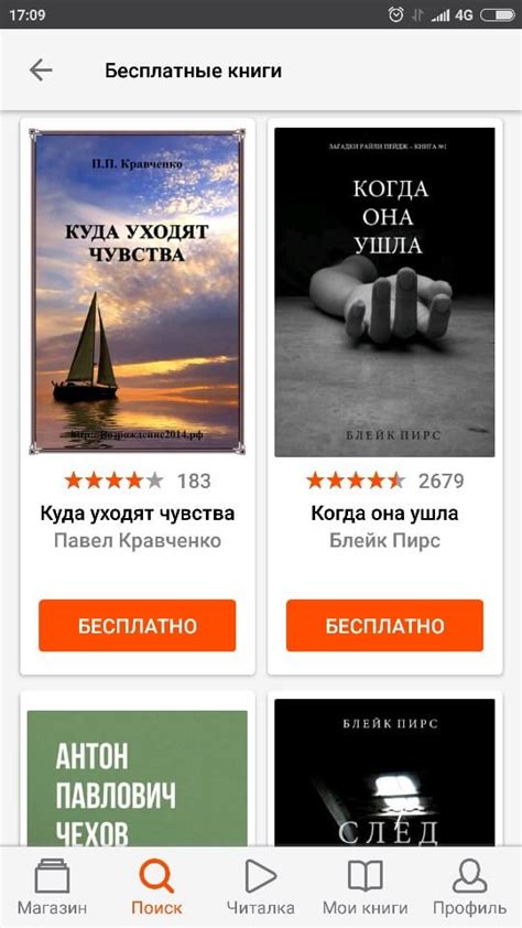 Совместимость Литрес с покетбуками
