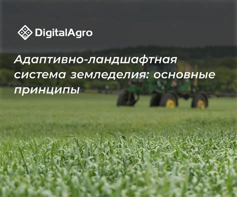 Современное земледелие: технологии и инновации