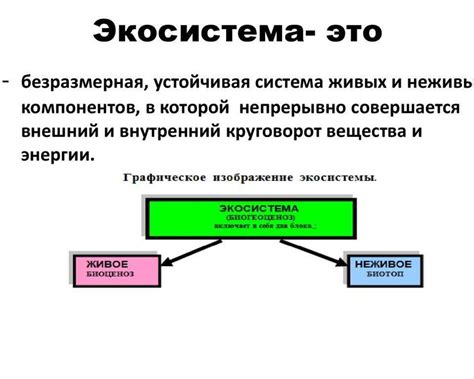 Современное применение и значение термина "экосистема"