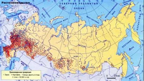 Современное состояние выращивания ржи и пшеницы в России