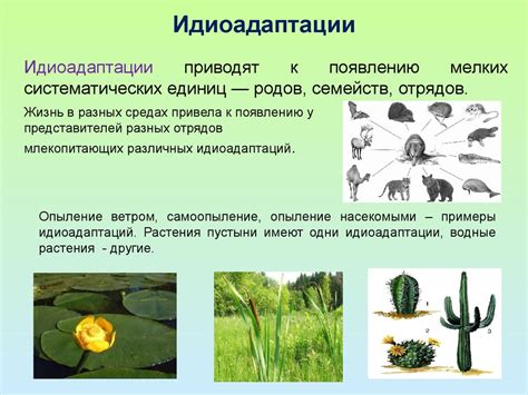 Современное состояние и перспективы развития человечества