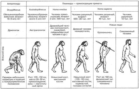 Современные вызовы эволюции человека