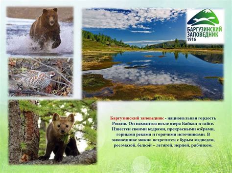 Современные заповедники