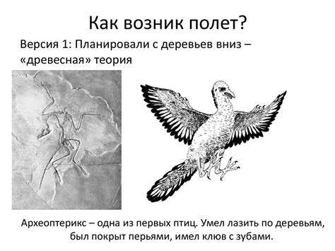 Современные исследования первых птиц и их наследие