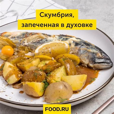 Содержание жира в копченой скумбрии