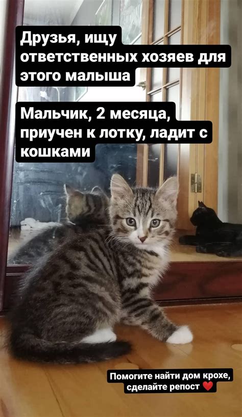 Создайте безопасную обстановку