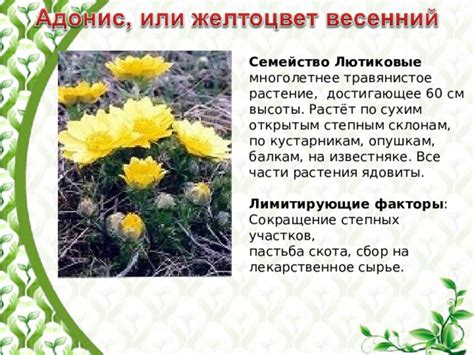 Сокращение высоты растения