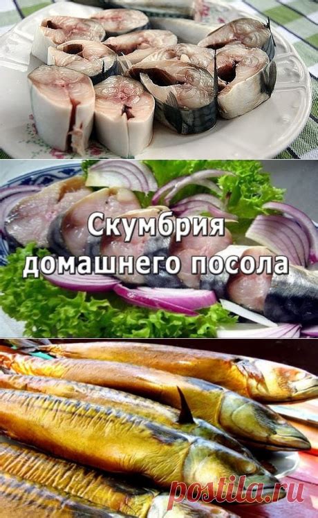 Соление: простой и доступный способ консервации