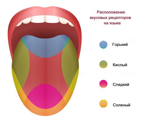Соленый вкус и его связь с контактом иглы и кожи