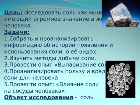 Соль как объект торговли