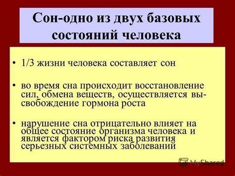 Сон и восстановление сил организма