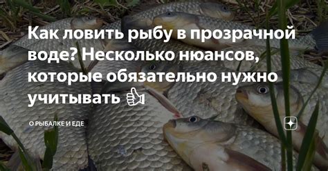 Сон о рыбалке в прозрачной воде