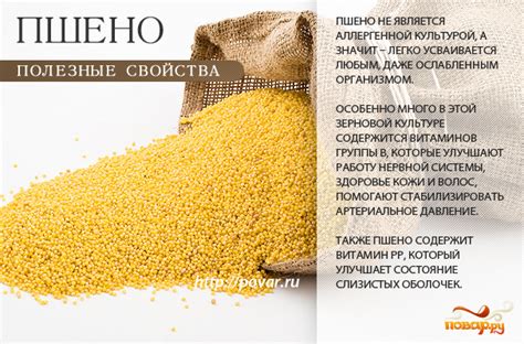 Состав и польза пшена для организма