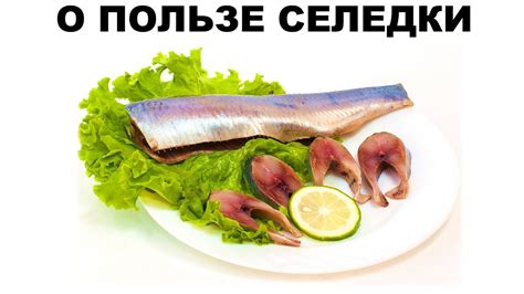 Состав и польза соленой селедки для организма кормящей мамы