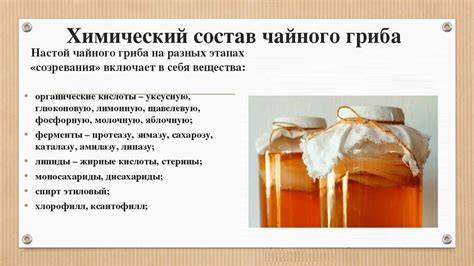 Состав и химический состав чайного гриба