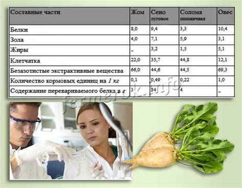 Состав свекольного жома в рационе коз