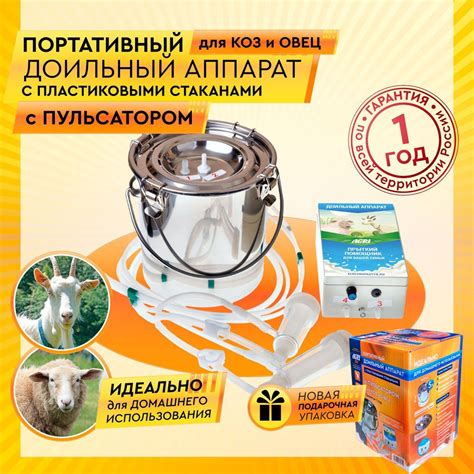 Состав сыворотки и его польза для коз