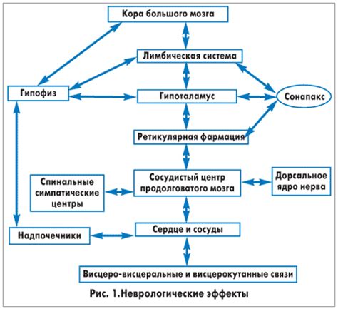 Сосудистые сужения и головокружения при нейроциркуляторной дистонии