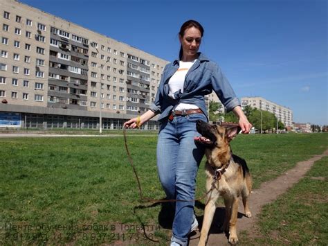 Социализация и тренировка