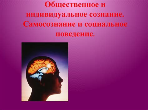 Социальное движение и общественное сознание