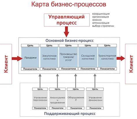 Специализации экономиста: от бухгалтерии до маркетинга