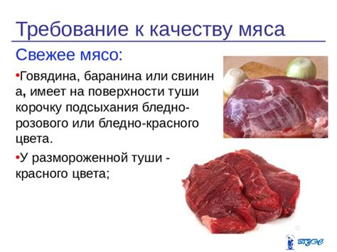 Спецификации и стандарты качества мяса с АЧС