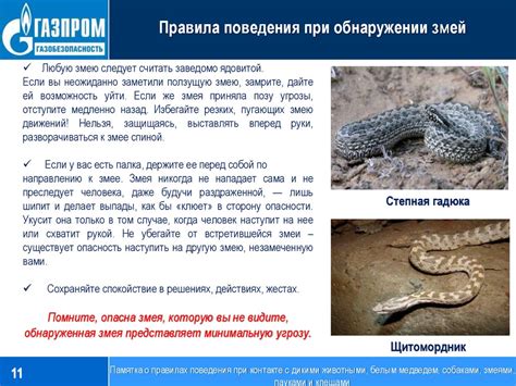 Специфика поведения змей